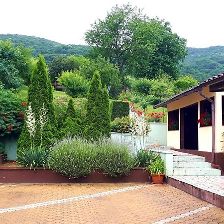 ホテル Silva House デヴァ エクステリア 写真