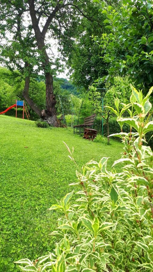 ホテル Silva House デヴァ エクステリア 写真