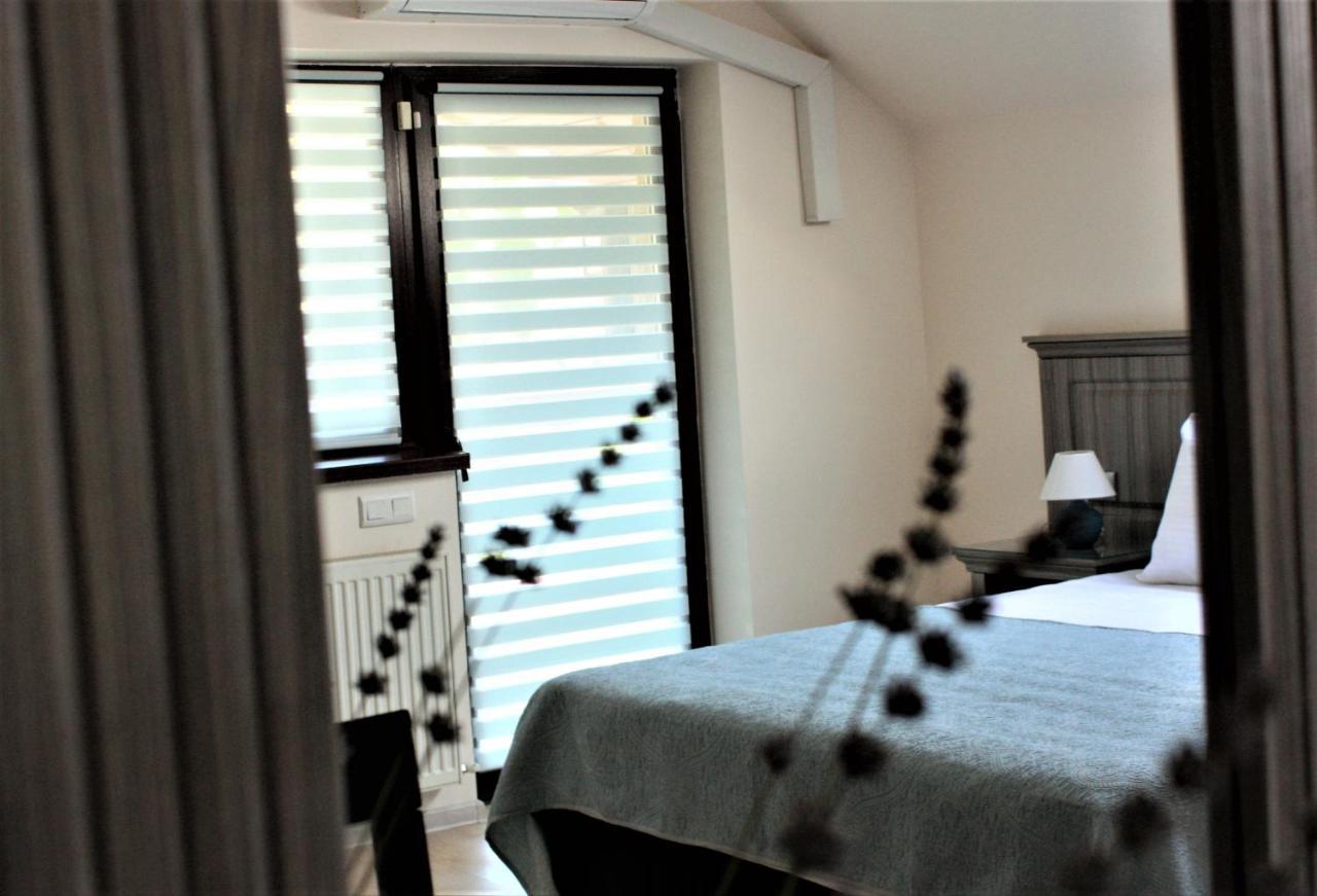 ホテル Silva House デヴァ エクステリア 写真